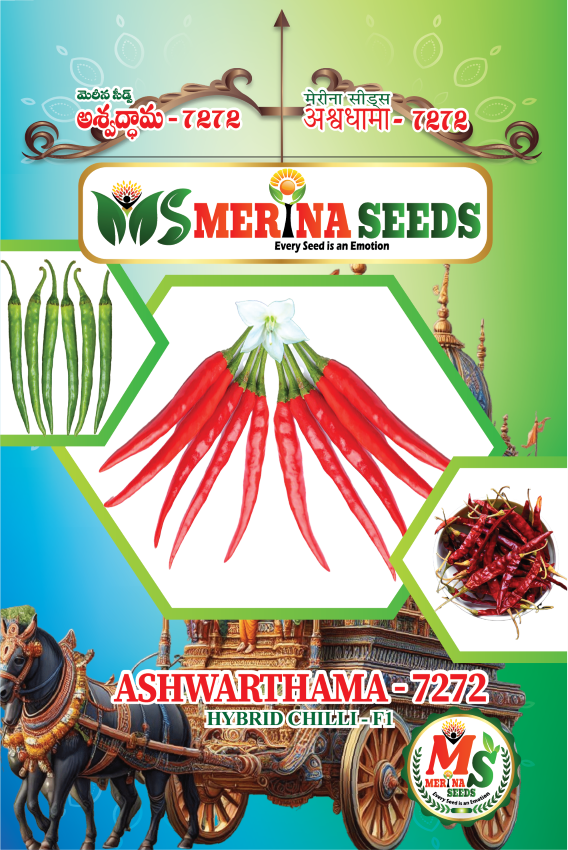 5 ASHWARTHAMA POUCH