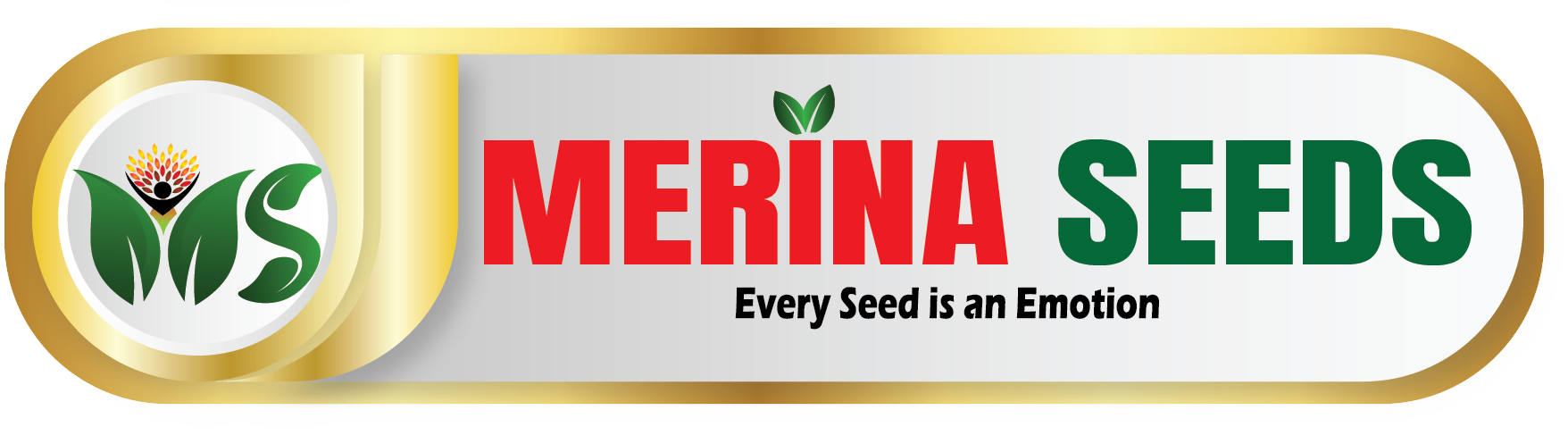 MERINA LOGO