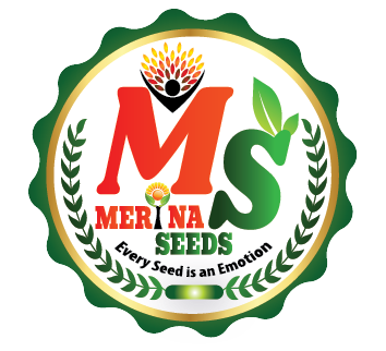 ROUND LOGO